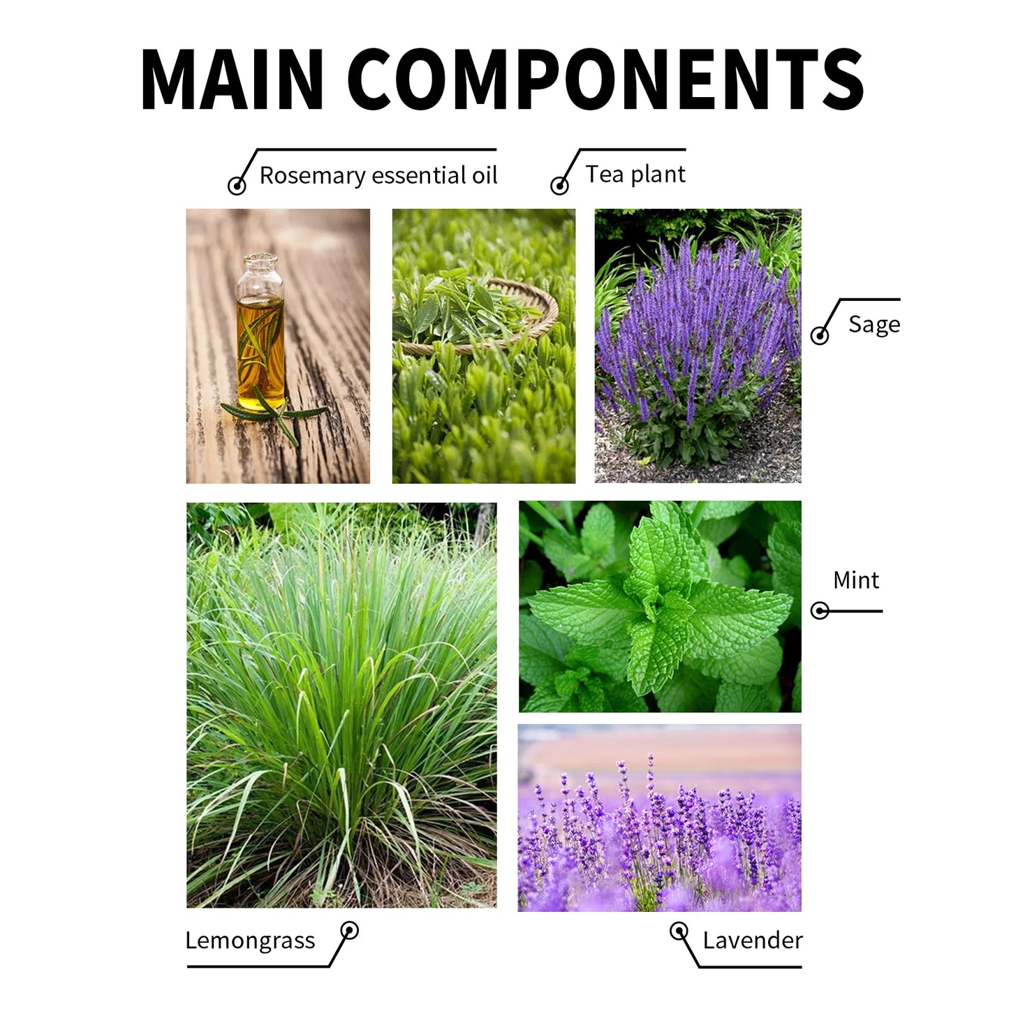 Hair Loss Treatment Shampoo Anti-itch Anti Dandruff Oil Control Hair Growth Serum Oil Scalp Root Thicker Fast Regrowth Essence